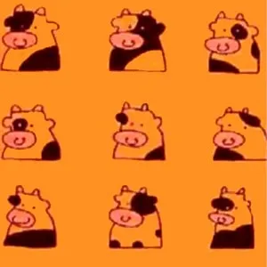 David Fenech + Moka - Les vaches