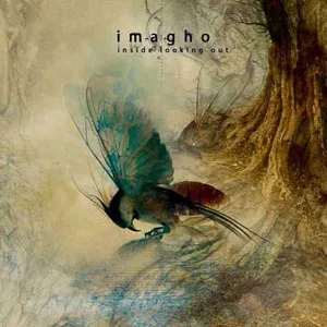 Imagho - Inside looking out