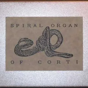 spiral organ of corti
