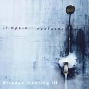 Klimperei + Voxfazer : Strange meeting III