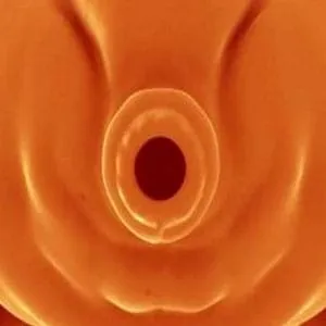 Andreas 23 - Tribute To Tardigrades