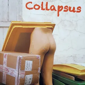 Guillaume Loizillon - Collapsus